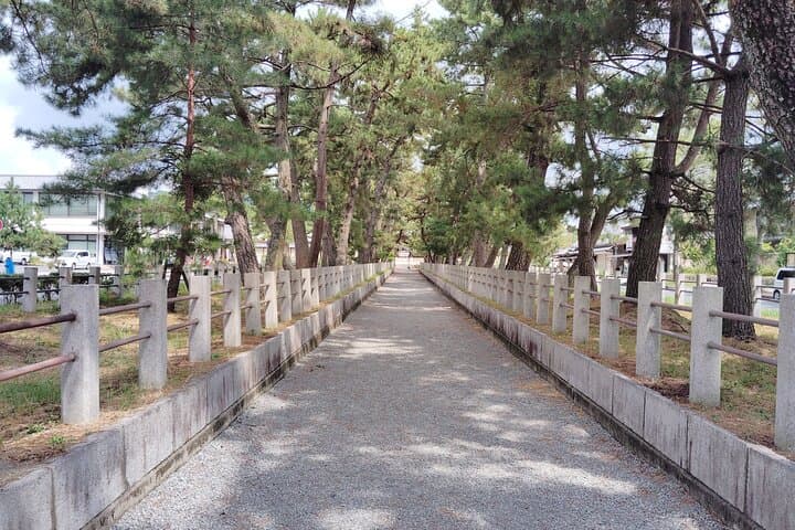 Nara: Hōryū-ji Guided Tour - World’s Oldest Wooden Building — photo 8
