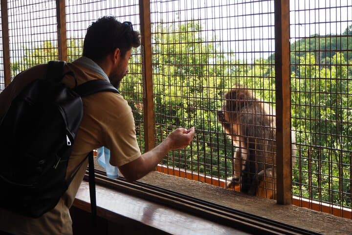 West Kyoto & Arashiyama: In-Depth 1-Day Cultural Tour — photo 4