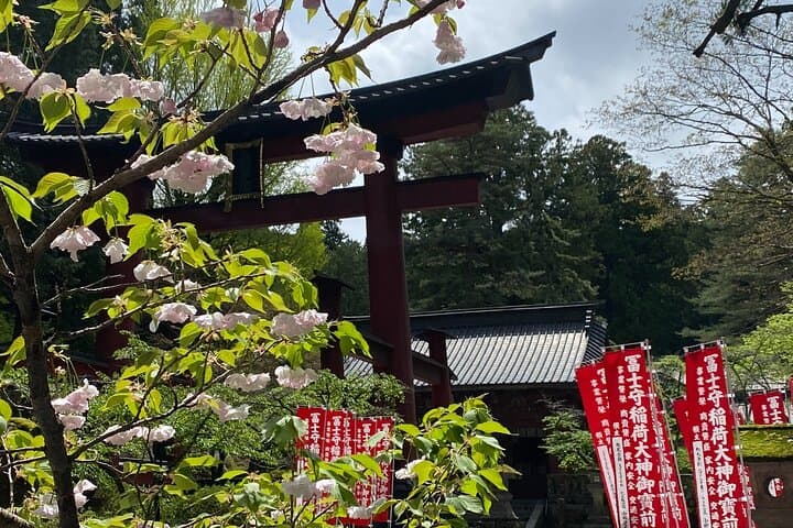 Full Day Private Tour to Mt Fuji by Luxury Vehicle — photo 10