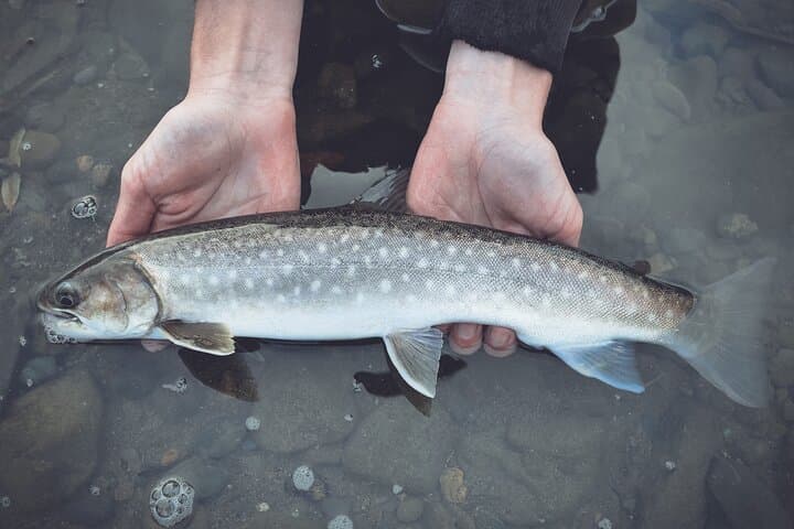 Private Fishing & Nature Experience in Hokkaido — photo 6