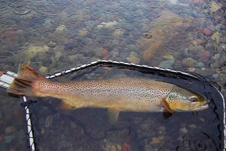 Private Fishing & Nature Experience in Hokkaido — photo 12