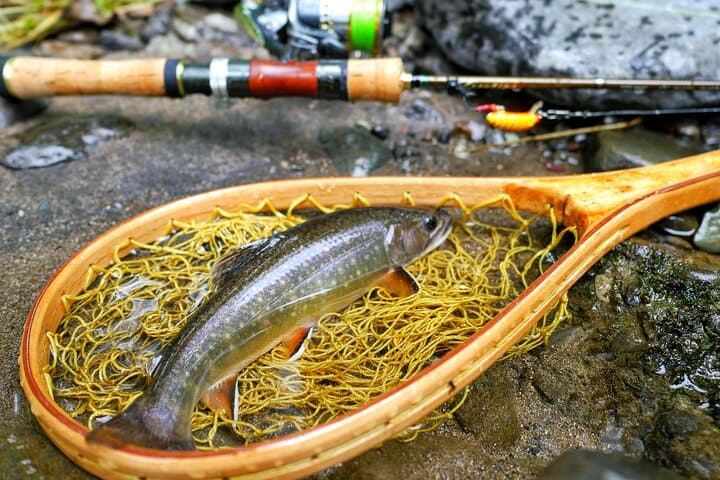 Private Fishing & Nature Experience in Hokkaido — photo 4
