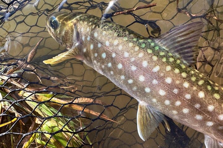 Private Fishing & Nature Experience in Hokkaido — photo 5