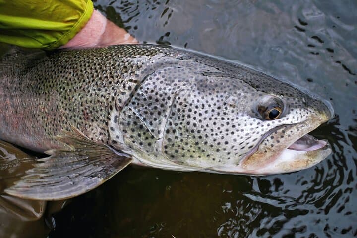 Private Fishing & Nature Experience in Hokkaido — photo 7