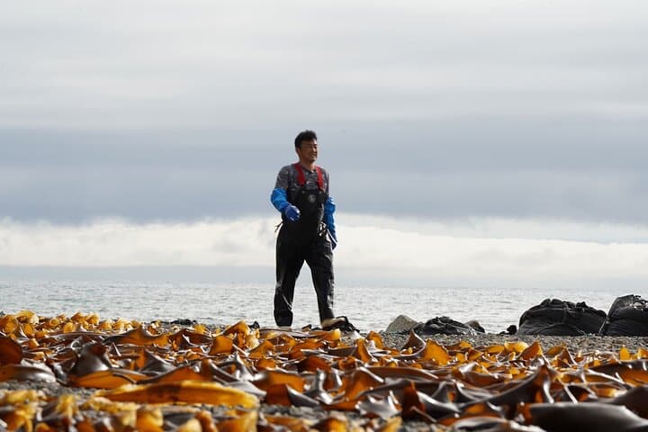 Kelp Fisheries Experience Traditional Japanese Food Culture — photo 3