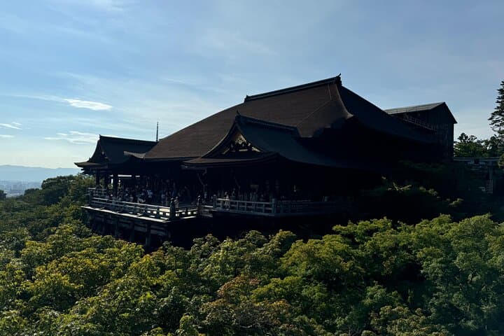 1 Day Private Sightseeing Tour in Kyoto — photo 6