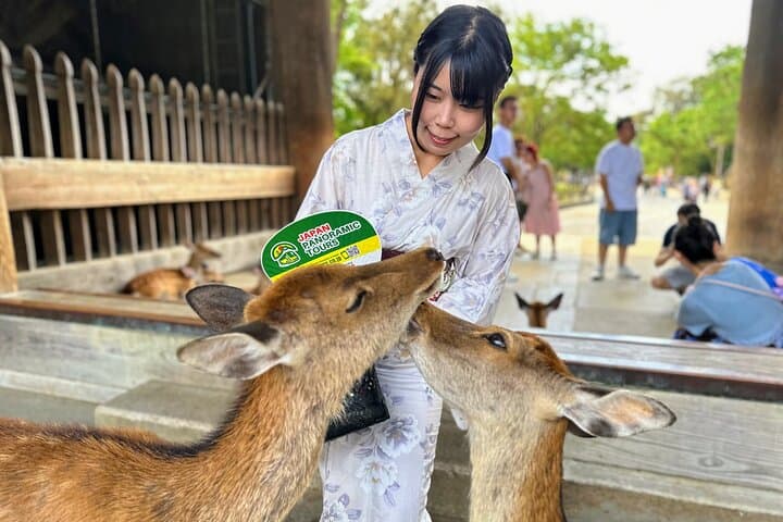World Heritage Kyoto & Nara Uji Authentic Matcha Experience — photo 14