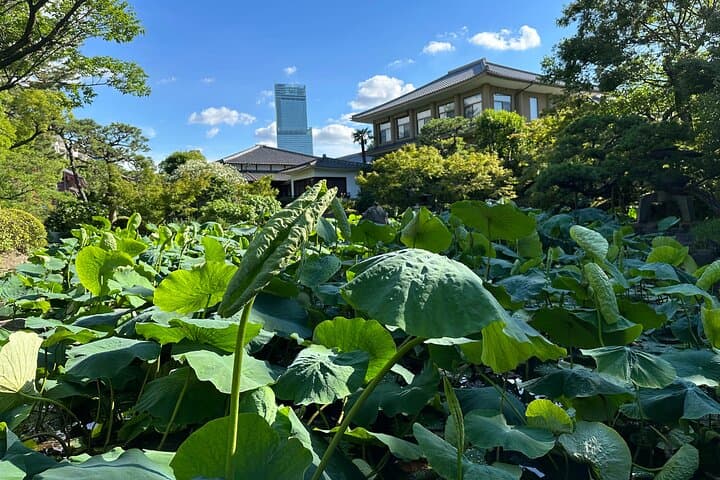 Osaka Oldest Buddhist District Tour - Shitennoji & Isshinji — photo 20
