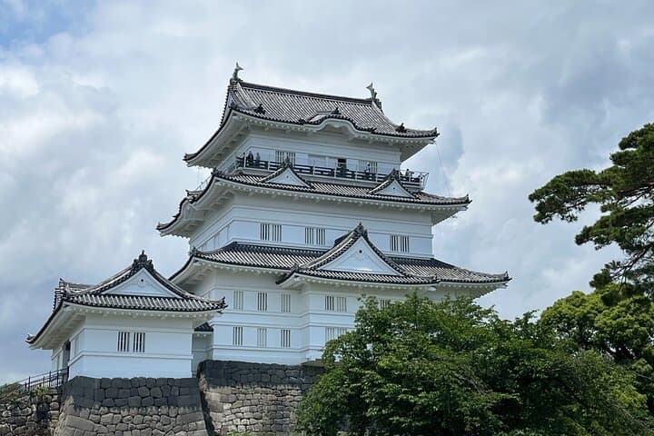 Odawara Castle Sightseeing Tour by Shinkansen — photo 4