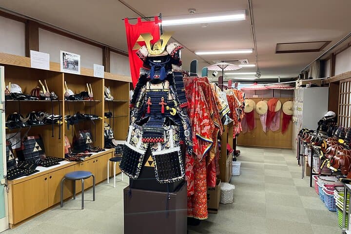 Odawara Castle Sightseeing Tour by Shinkansen — photo 2