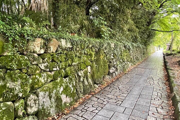 Kyoto: Private Tour of World Heritage Enryakuji and Monk's Town — photo 16