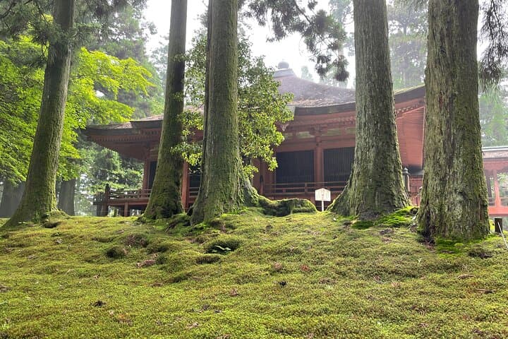 Kyoto: Private Tour of World Heritage Enryakuji and Monk's Town — photo 8