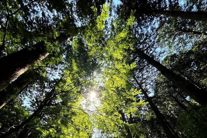 Trekking Tour to Faith, Ancient Paths and the Falls from Hitachi — photo 11
