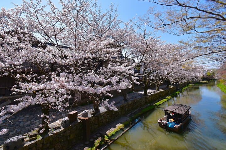 DayTrip Ohmi Hachiman from Kyoto — photo 6