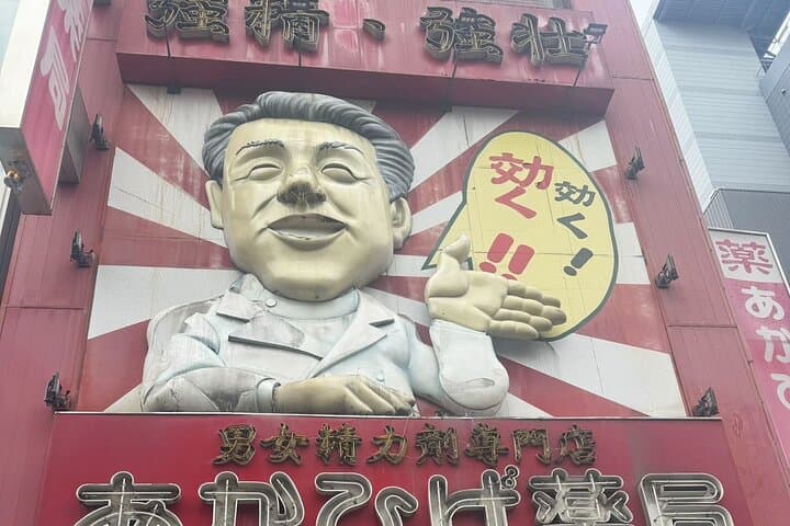 Osaka Private Customizable Sightseeing Tour with Chauffeur — photo 11