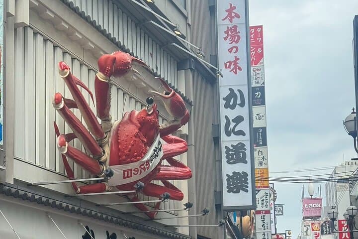 Osaka Private Customizable Sightseeing Tour with Chauffeur — photo 10