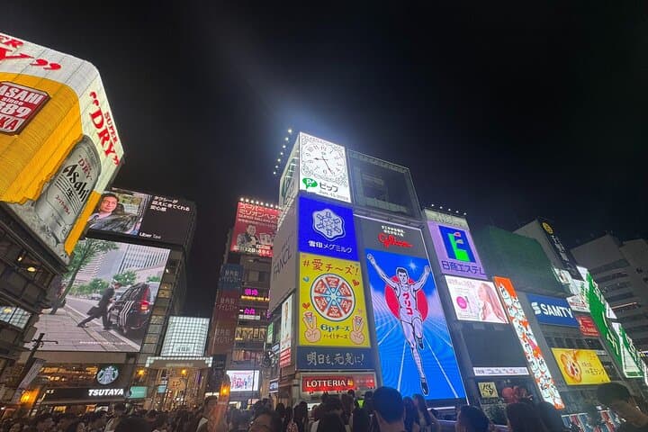 Osaka Private Customizable Sightseeing Tour with Chauffeur — photo 4