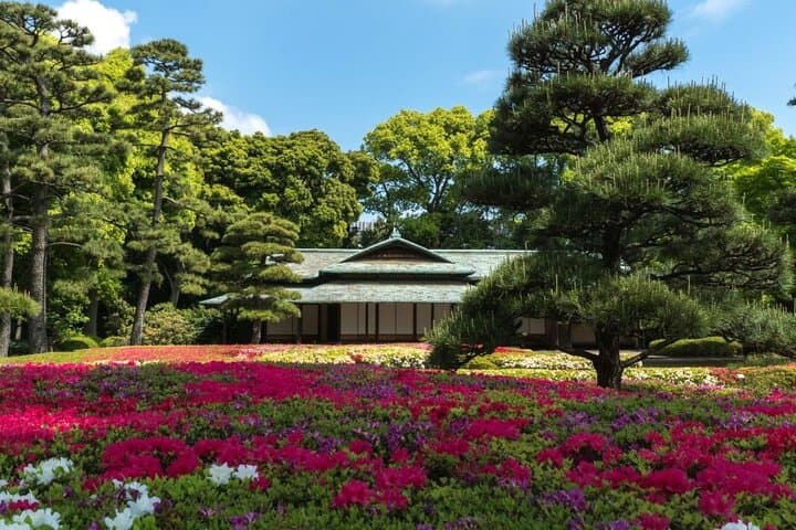 Mt Fuji Private Day Tour from Tokyo with English-Speaking Driver — photo 3