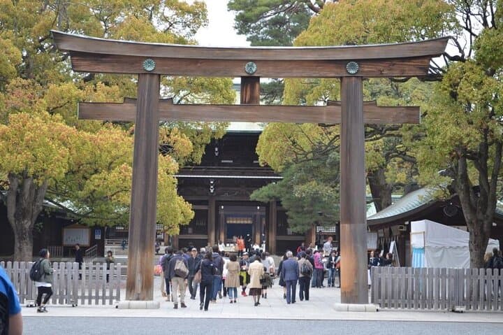 Mt Fuji Private Day Tour from Tokyo with English-Speaking Driver — photo 4