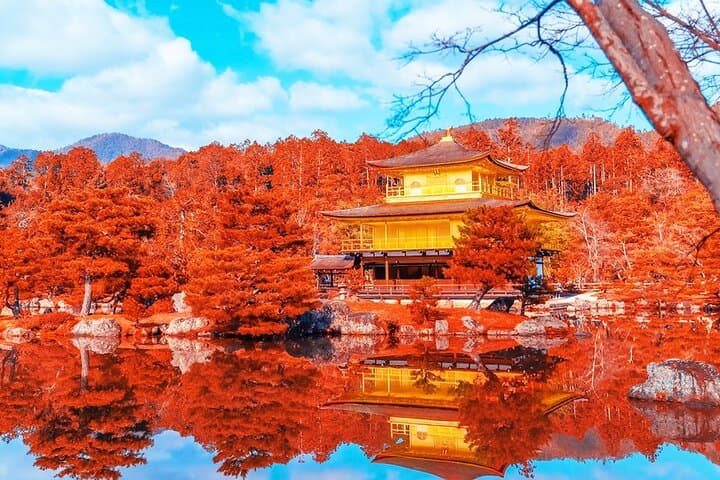 Kyoto Full day Tour Kinkakuji, Kiyomizu-dera and Fushimi Inari — photo 2