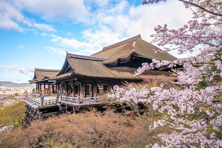 Kyoto Full day Tour Kinkakuji, Kiyomizu-dera and Fushimi Inari — photo 11