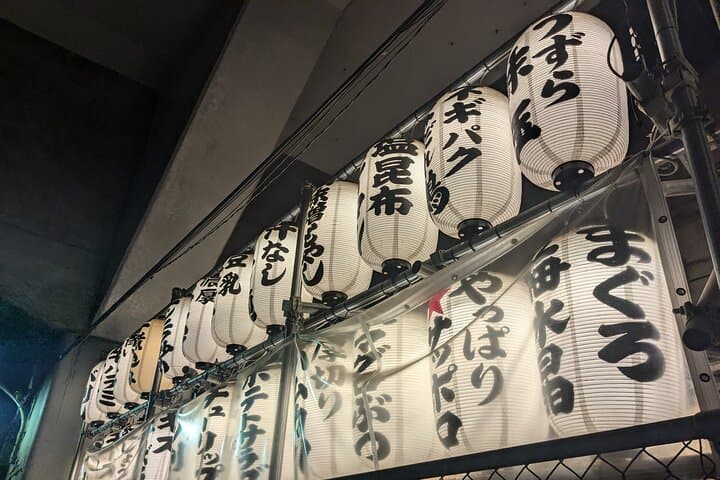 Shimbashi Hidden Izakaya Tour with a Working Tokyo Manager — photo 13