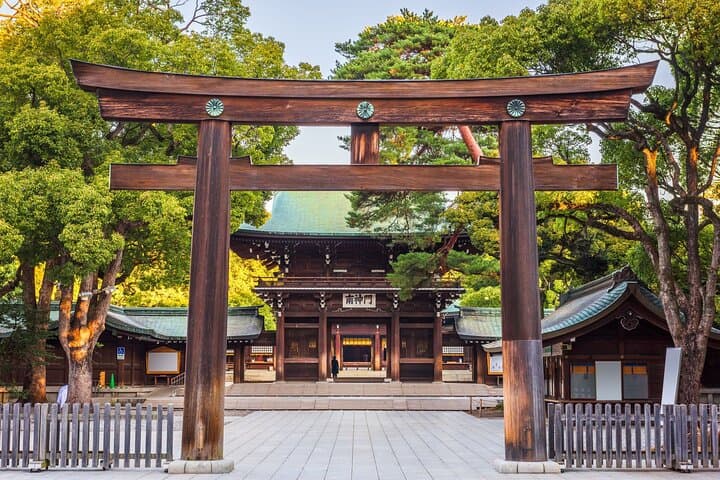 Tokyo Small Group Tour with Guide — photo 5