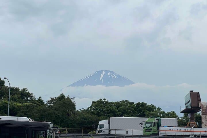 Scenic Fuji Escape: Hakone, Peace Park & More by Green Plate Car — photo 8