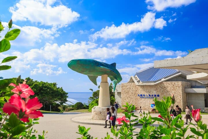 Okinawa HIP-HOP BUS A Course Tour | Churaumi Aqualium,Kori Island — photo 5