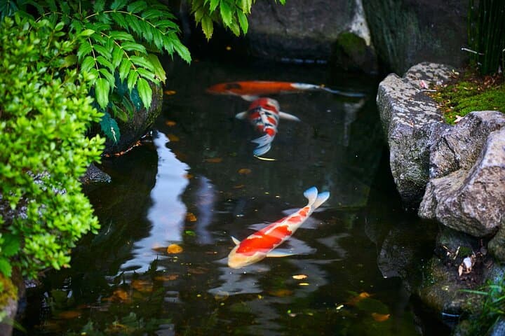 Kamakura Historical Discovery | Private Licensed Guide & Driver — photo 15