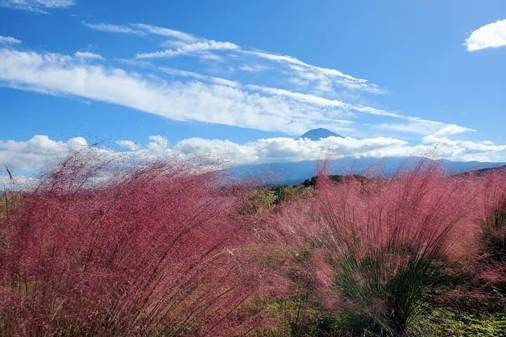 2 Days, 1. Mt.Fuji & 2. Hakone Private Tour from Tokyo Customizab — photo 7