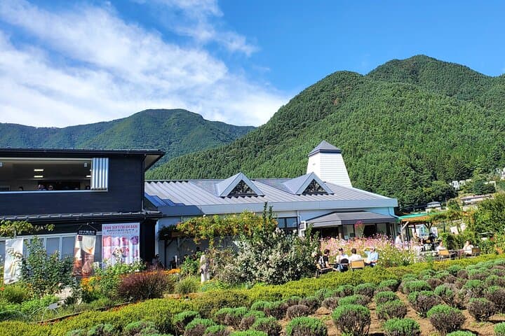 2 Days, 1. Mt.Fuji & 2. Hakone Private Tour from Tokyo Customizab — photo 8