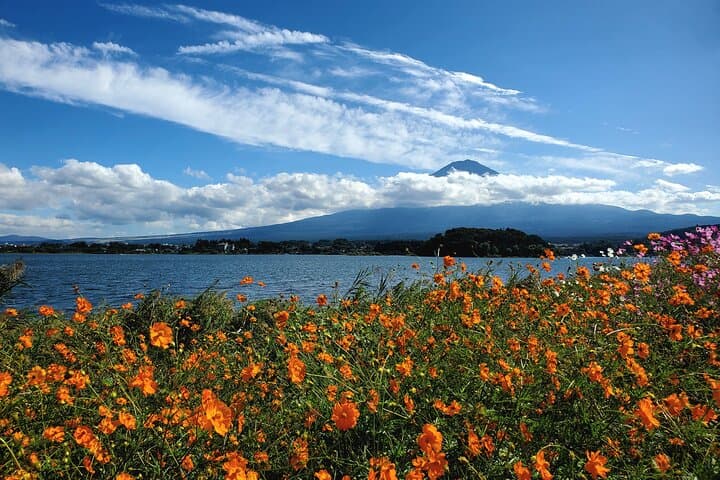 2 Days, 1. Mt.Fuji & 2. Hakone Private Tour from Tokyo Customizab — photo 9