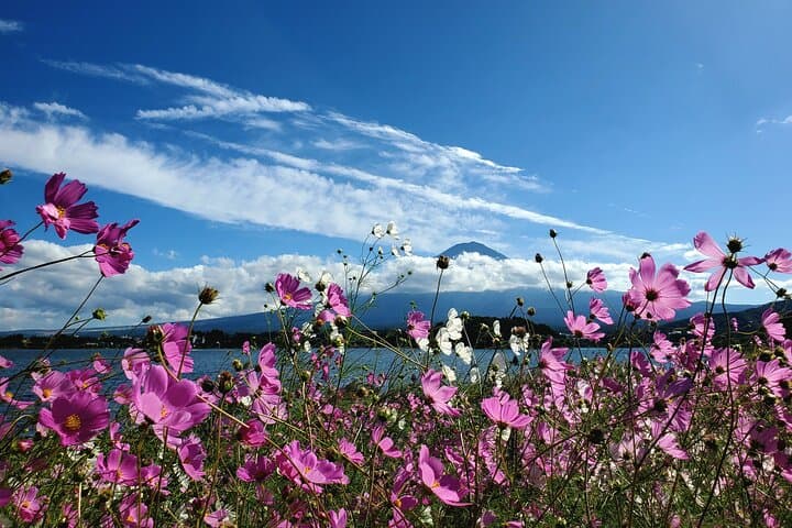2 Days, 1. Mt.Fuji & 2. Hakone Private Tour from Tokyo Customizab — photo 10