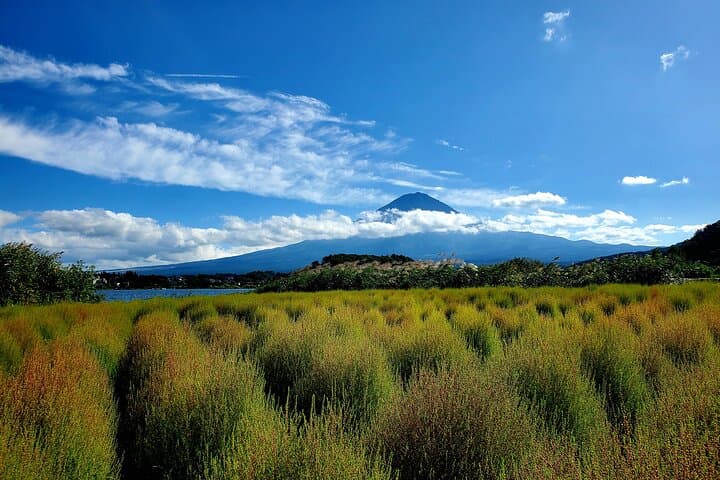 2 Days, 1. Mt.Fuji & 2. Hakone Private Tour from Tokyo Customizab — photo 11