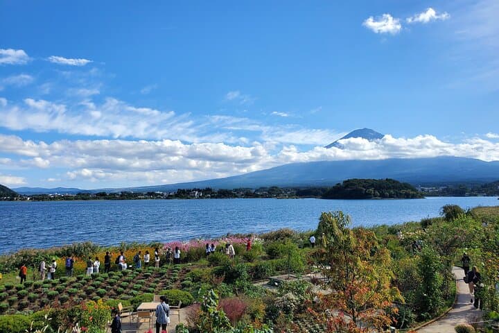 2 Days, 1. Mt.Fuji & 2. Hakone Private Tour from Tokyo Customizab — photo 13