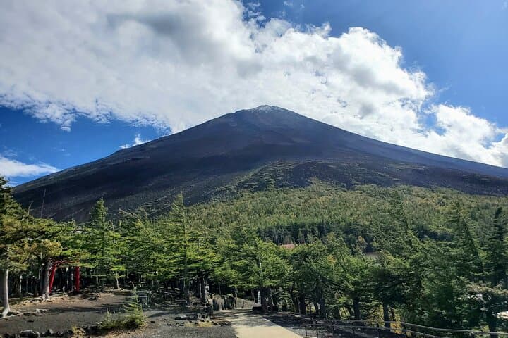 2 Days, 1. Mt.Fuji & 2. Hakone Private Tour from Tokyo Customizab — photo 14