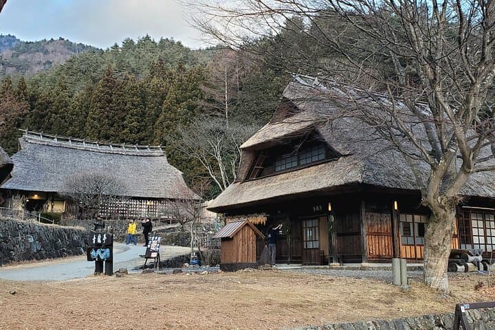 2 Days, 1. Mt.Fuji & 2. Hakone Private Tour from Tokyo Customizab — photo 17