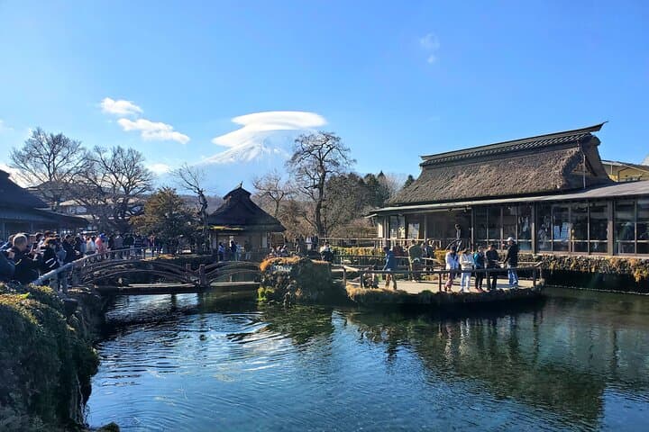 2 Days, 1. Mt.Fuji & 2. Hakone Private Tour from Tokyo Customizab — photo 18