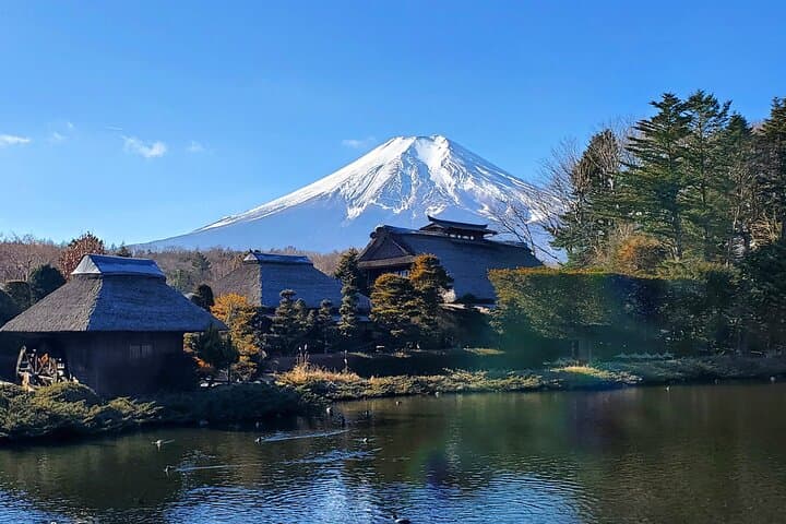 2 Days, 1. Mt.Fuji & 2. Hakone Private Tour from Tokyo Customizab — photo 5