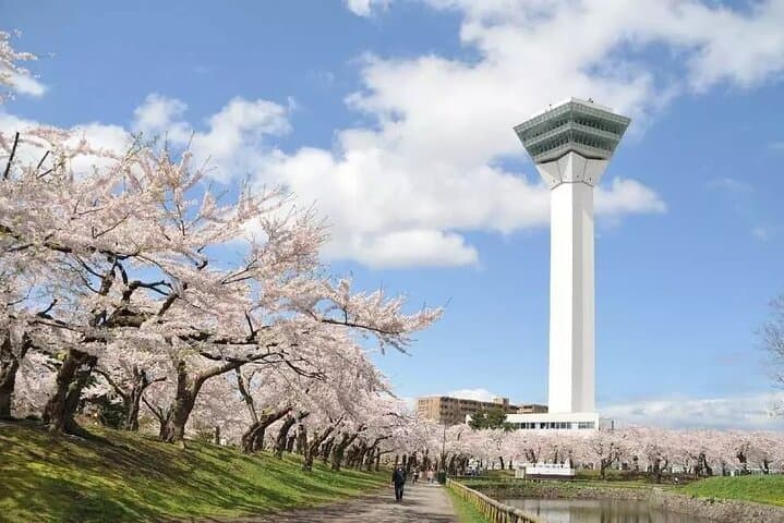 Goryokaku Tower Ticket in Hokkaido — photo 8
