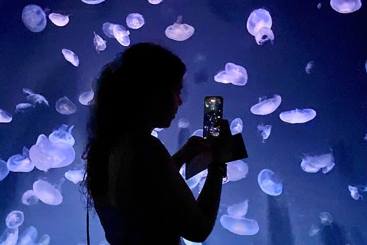 Tokyo : Aquarium Backyard Tour and Tokyo View Observatory — photo 1