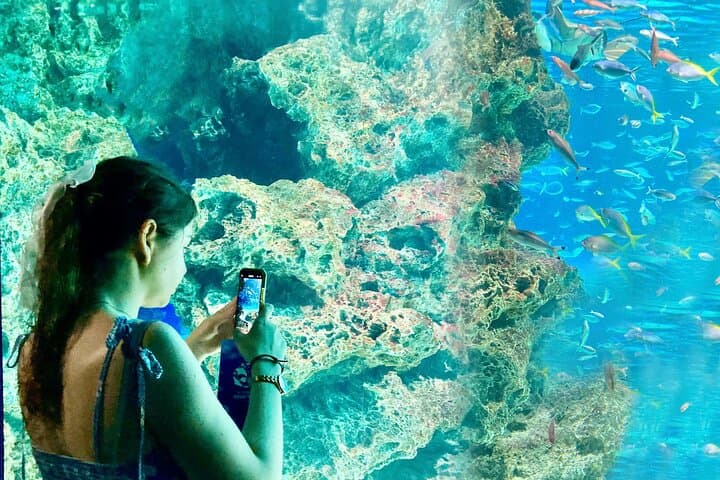 Tokyo : Aquarium Backyard Tour and Tokyo View Observatory — photo 2