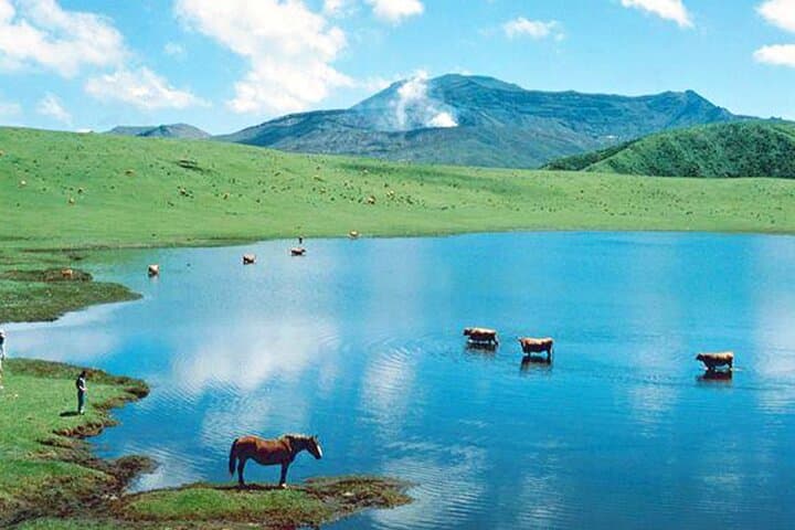 Kyushu: Aso Vocano, Grassland,Onsen and Aso shrine 1-Day Tour