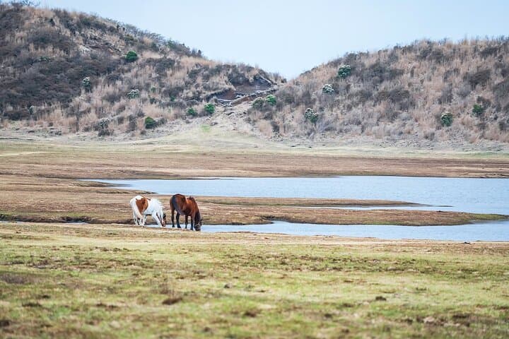 Kyushu: Aso Vocano, Grassland,Onsen and Aso shrine 1-Day Tour — photo 5