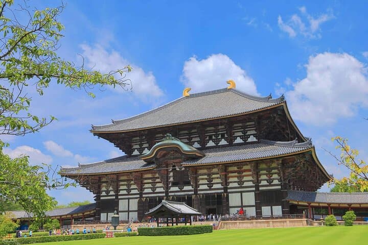 Nara, Todaiji Temple and Kuroshio Market One Day Tour from Osaka — photo 2