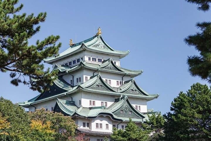 Nara, Todaiji Temple and Kuroshio Market One Day Tour from Osaka — photo 3