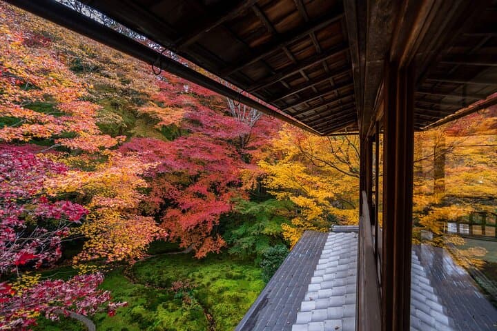 Lake Biwa Shirahige Shrine and Ukimido Day Tour from Osaka, Kyoto — photo 5