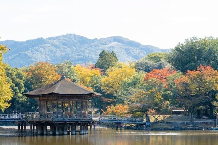Lake Biwa Shirahige Shrine and Ukimido Day Tour from Osaka, Kyoto — photo 2