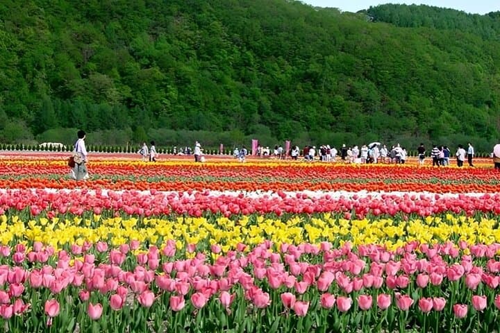 Furano & Biei Private Tour：Custom Scenic Route（from Sapporo） — photo 7